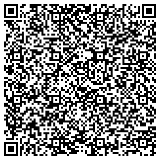 QR vCard