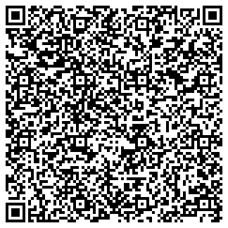 QR vCard