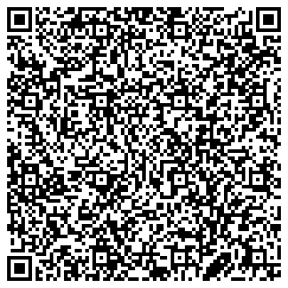 QR vCard